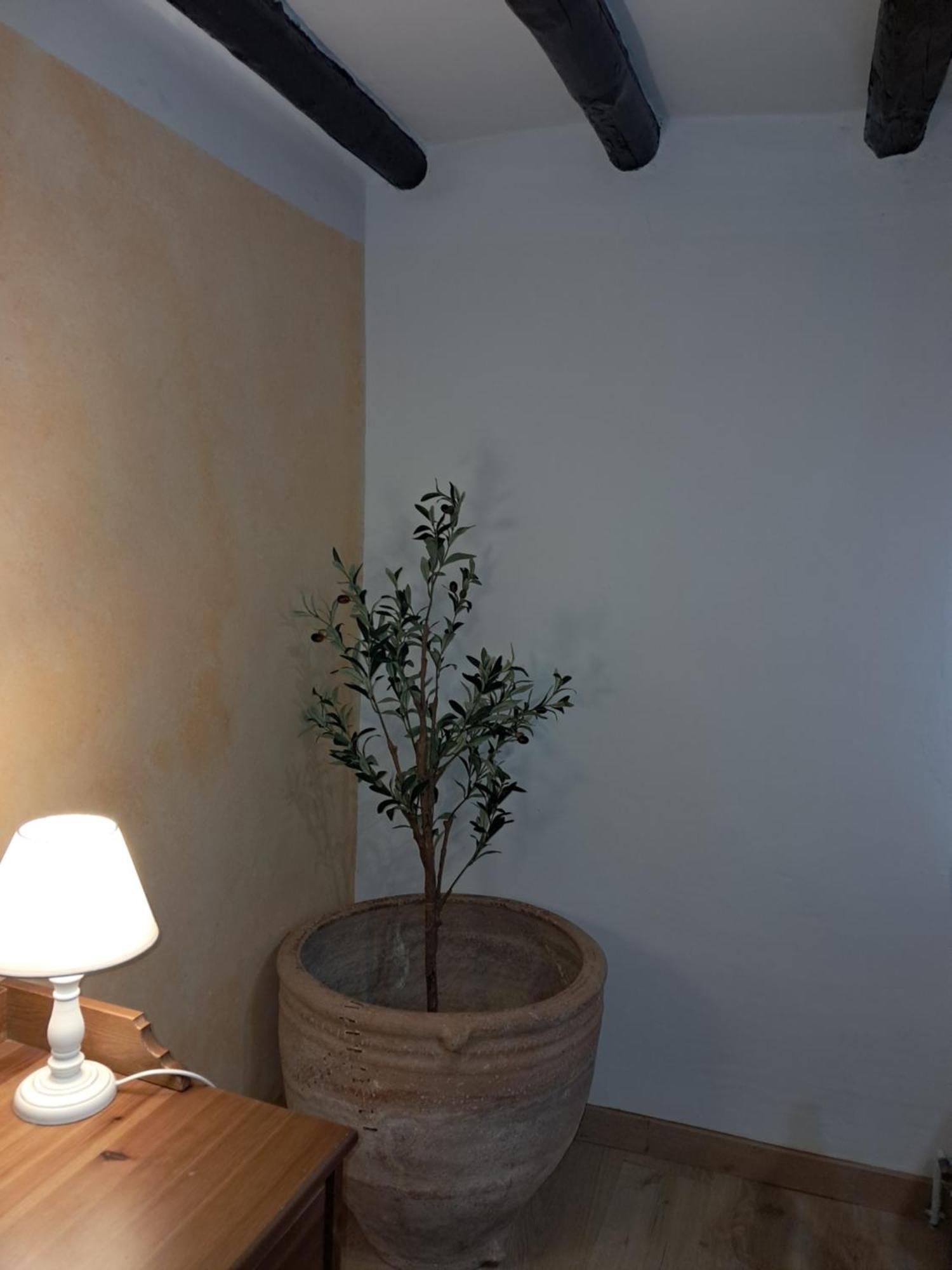 Casa Rural Ruta Del Agua 4 Hab Al Lado Monasterio De Piedra Munébrega 외부 사진